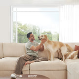 LEDOW P85 Vinyl Fixed Windows for Residential & Commercial Buildings, Energy-Efficient Picture Windows for North America