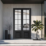 LEDOW Aluminum Entry Door for Residential & Commercial Buildings | Secure, Durable Front Entrance System